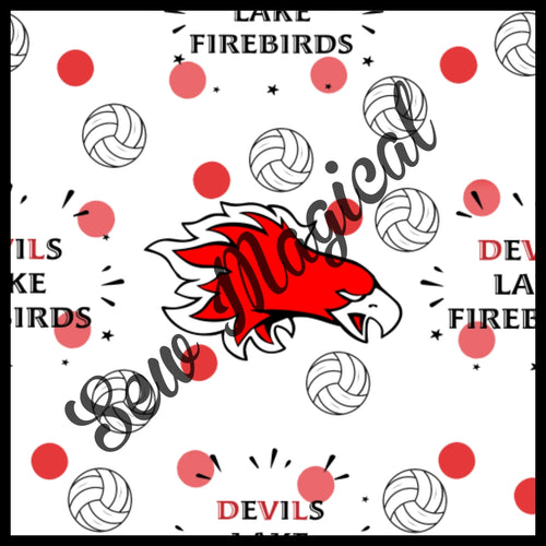 LE Exclusive Firebirds volleyball