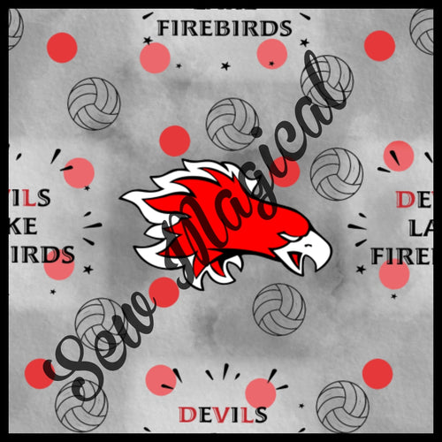 LE Exclusive Firebirds volleyball grey