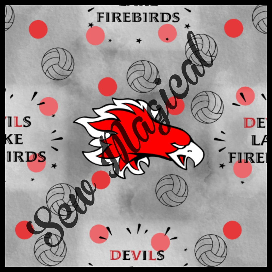 LE Exclusive Firebirds volleyball grey