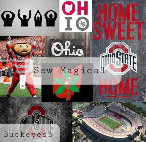 Buckeye3