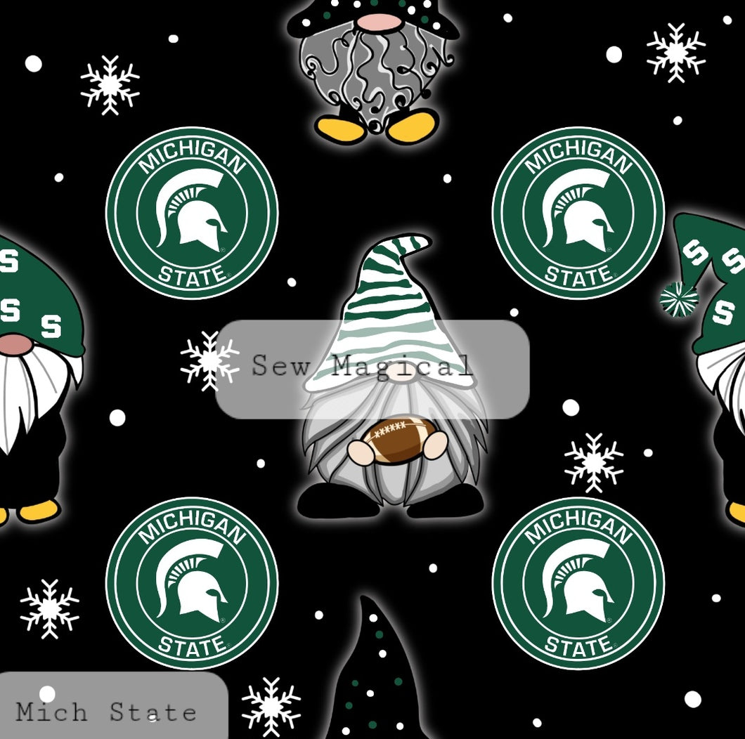 Mich State Gnomes