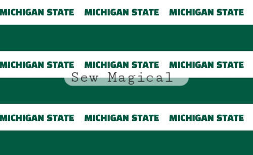 Michigan State Stripes