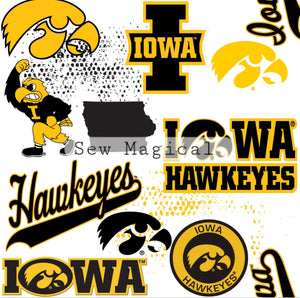 Iowa Hawkeyes