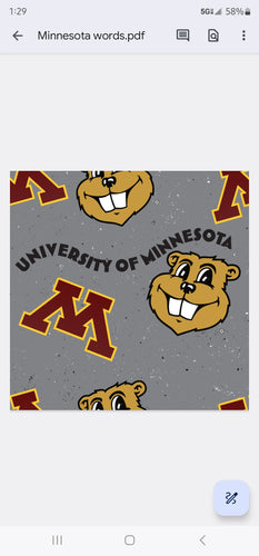 University of Minnesota Words