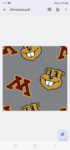 University of Minnesota