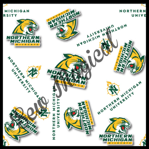 Northern Michigan University