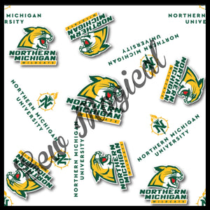 Northern Michigan University