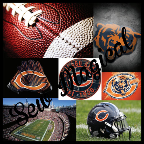 Bears Pics