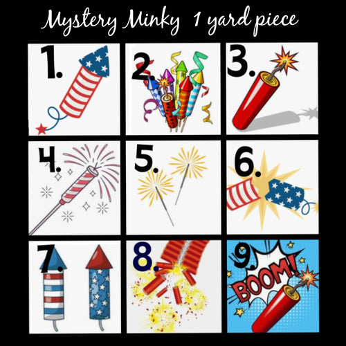 Mystery Minky Fabric 1 yard piece