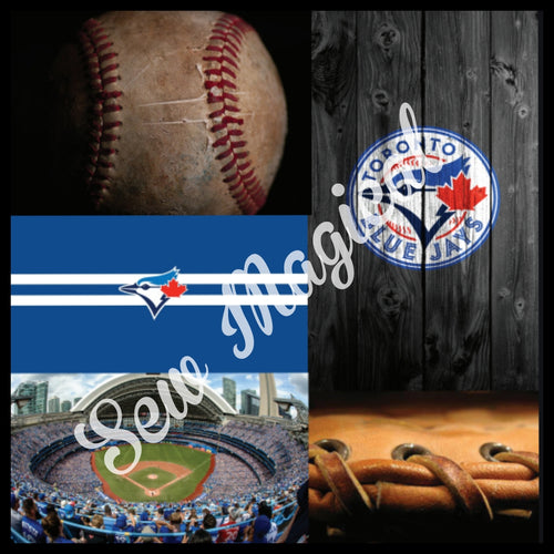 Blue Jay Pics
