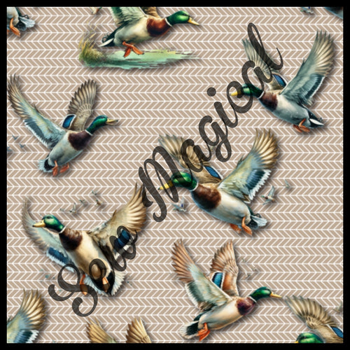 Mallard Ducks