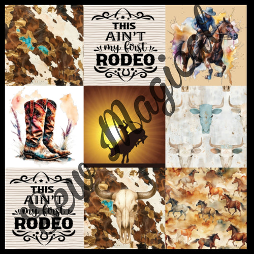 Ain't First Rodeo