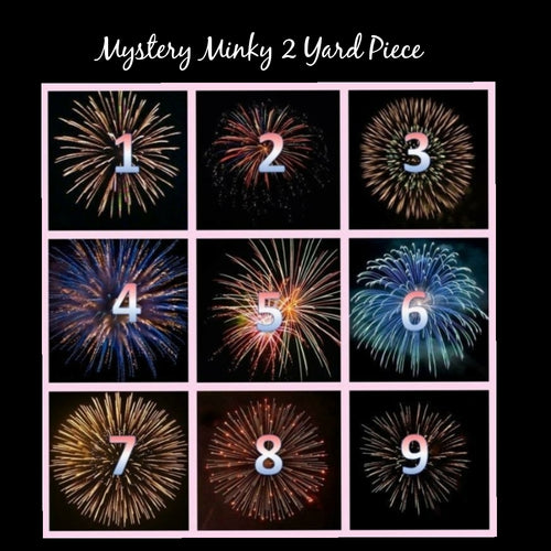 Mystery Minky Fabric 2 yard piece