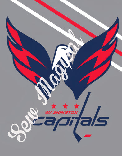 Washington Capitols 2 Yard Panel